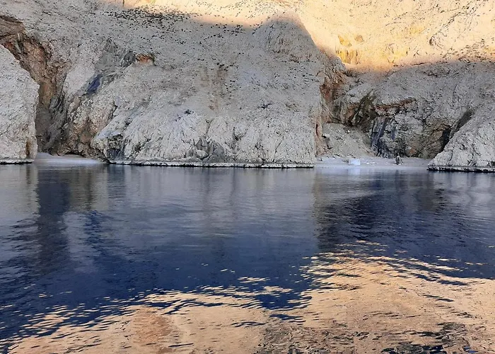 House Kontus 플로민