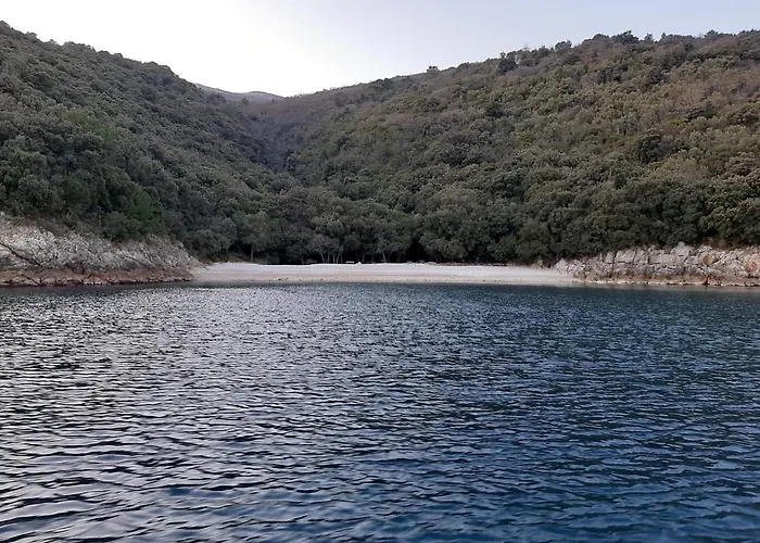 게스트하우스 House Kontus