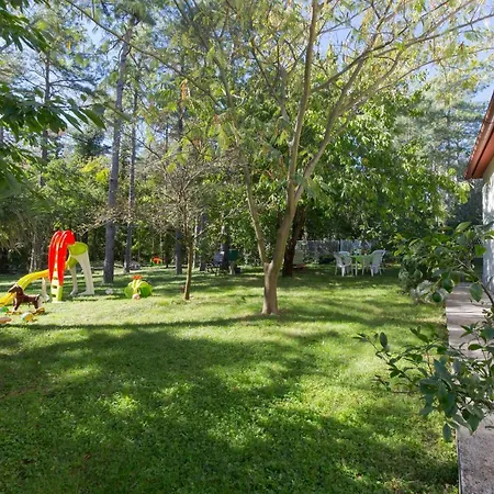 House Kontus Guest house